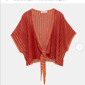 Zara Metallic Knit Tie Front - Crop Top